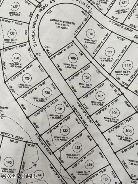 3812 Silver Melon Road Ne, Leland, NC 28451