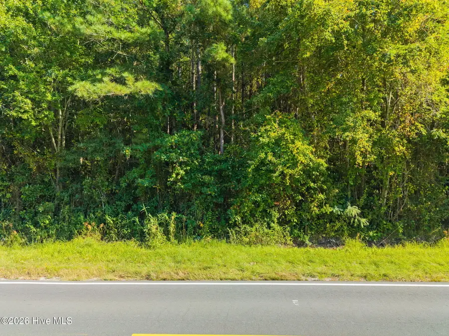 2473 Peacock Road, Whiteville, NC 28472 - #3