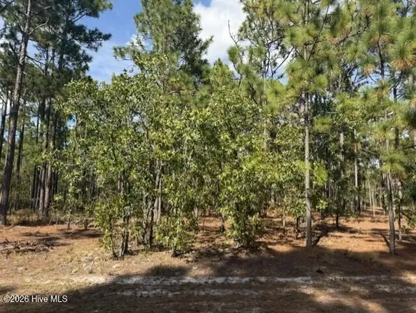 125 Bay Ridge Road, Harrells, NC 28444