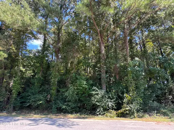 Near 90 Honey Hill Drive, Hallsboro, NC 28442