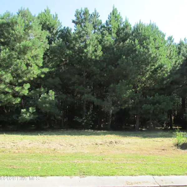 134 W Grandiflora Drive, Wallace, NC 28466