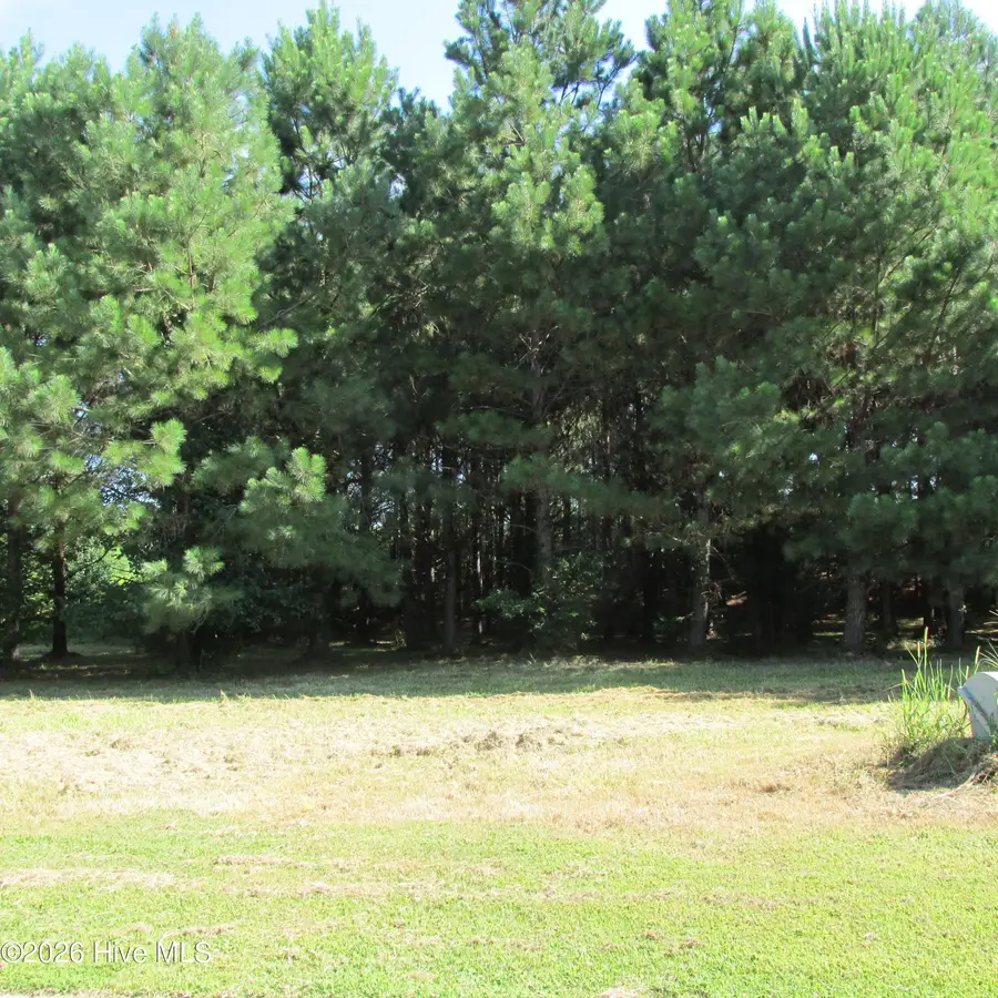134 W Grandiflora Drive, Wallace, NC 28466 - #2