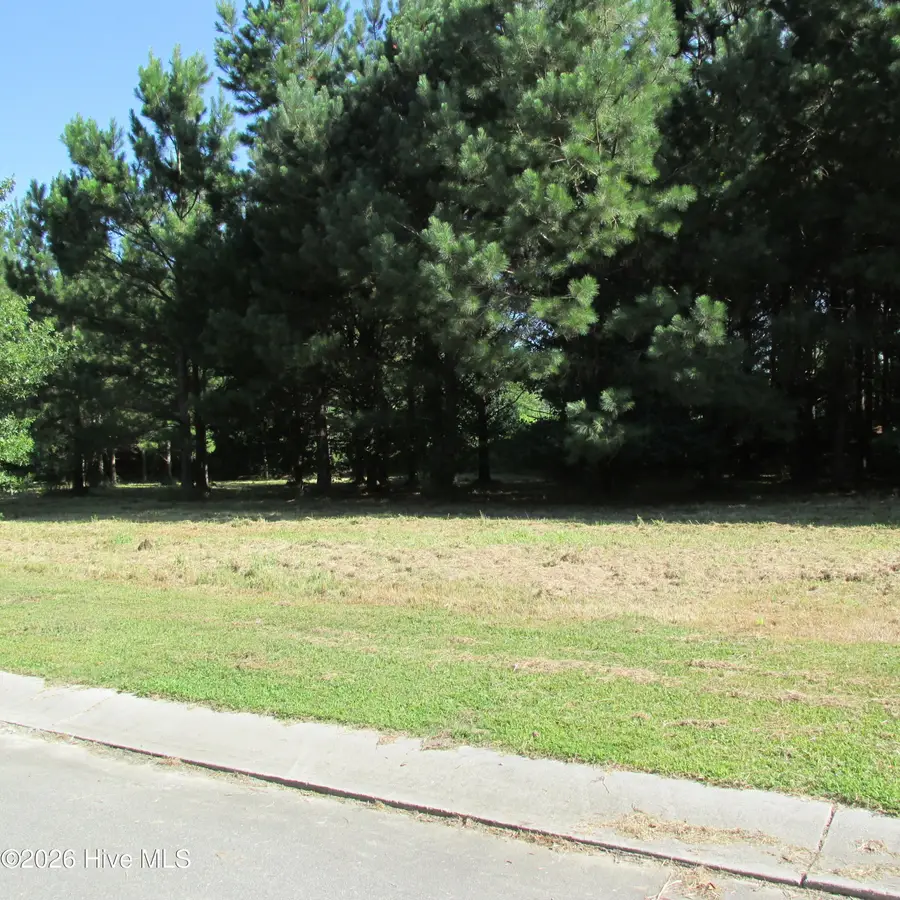 134 W Grandiflora Drive, Wallace, NC 28466 - #3