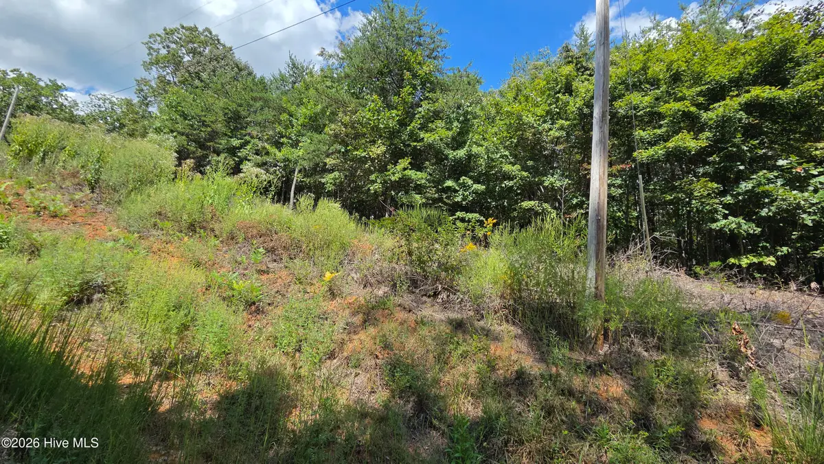 Lot 9 Wolf Ridge Lane, Murphy, NC 28906 - #1
