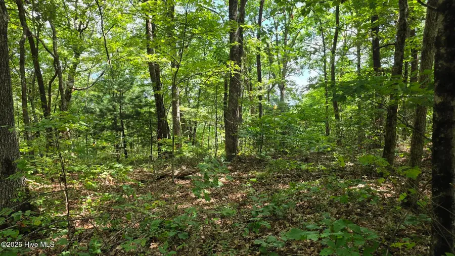 Lot 17 Outlook Road, Murphy, NC 28906 - #2