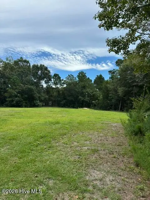 270 Williams Store Road, Hampstead, NC 28443 - #3