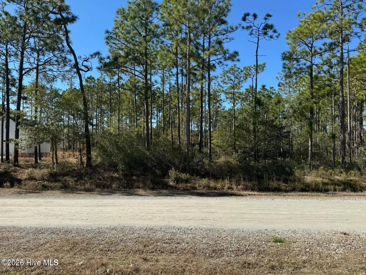 100 Bridges Road, Southport, NC 28461 - #1