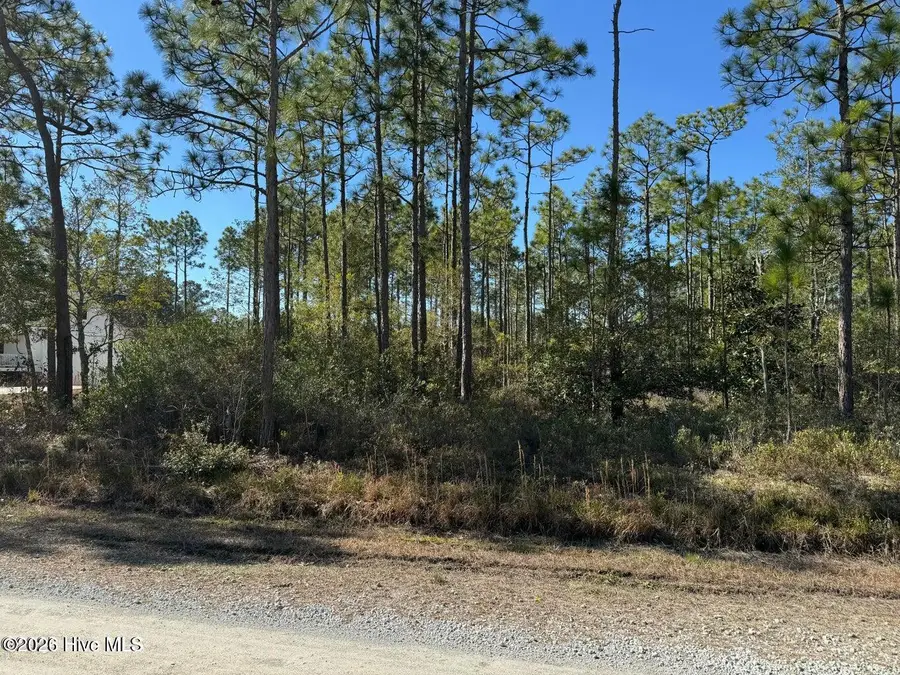 100 Bridges Road, Southport, NC 28461 - #2