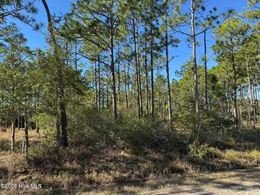 100 Bridges Road, Southport, NC 28461 - #3