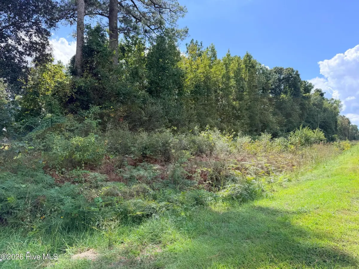 L-1 Corner Galloway & Randolphvill Road Ne, Bolivia, NC 28422 - #1