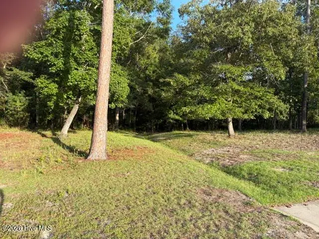 1579 Golden Marsh Court Se, Bolivia, NC 28422 - #2