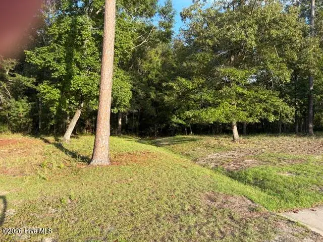 1579 Golden Marsh Court Se, Bolivia, NC 28422 - #3