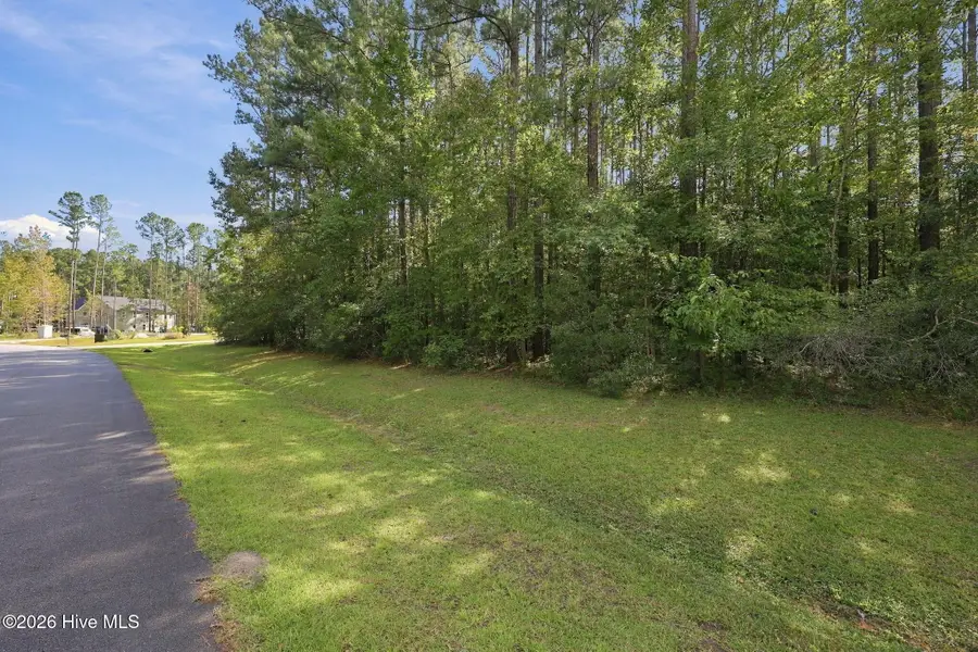 206 Shreveport Court, Havelock, NC 28532 - #2