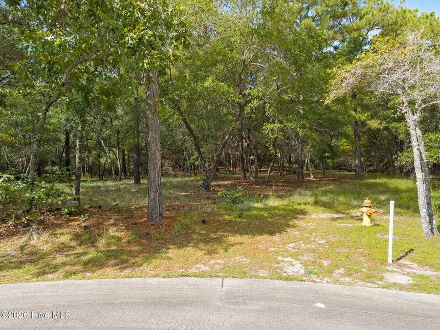 3771 Acadian Avenue Sw, Supply, NC 28462 - #3