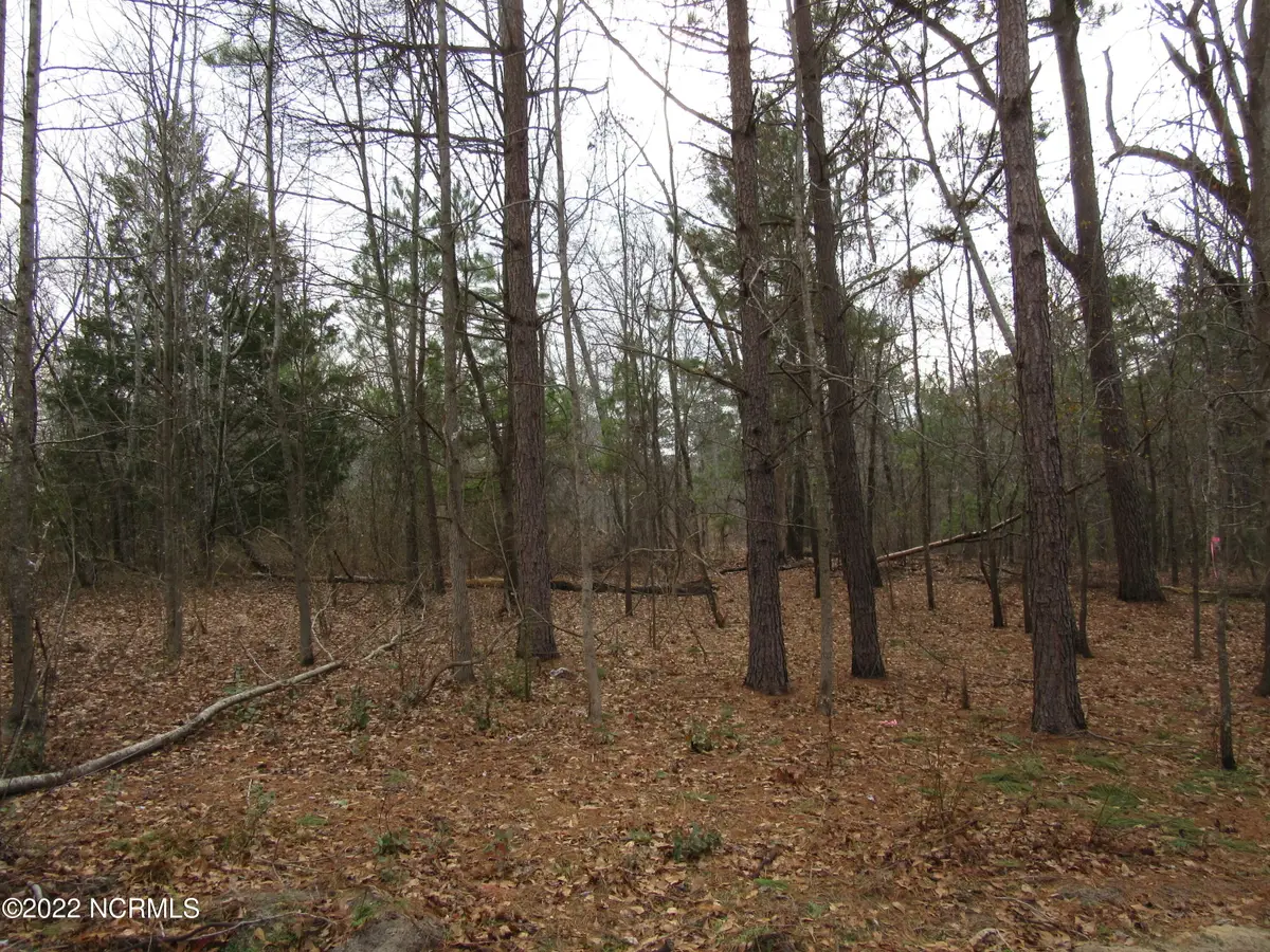 Lot 43& 44 Lakewood Drive, Maxton, NC 28364 - #1