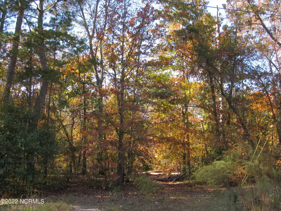 Lot 43& 44 Lakewood Drive, Maxton, NC 28364 - #3