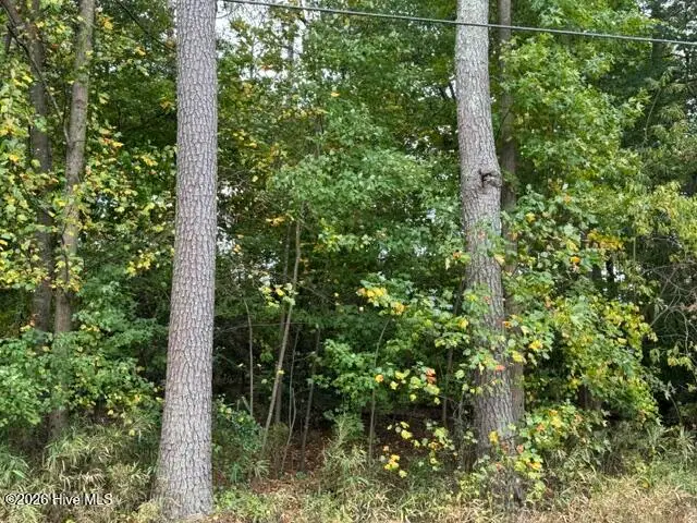 29 S Lakeshore Drive, Whispering Pines, NC 28327 - #1