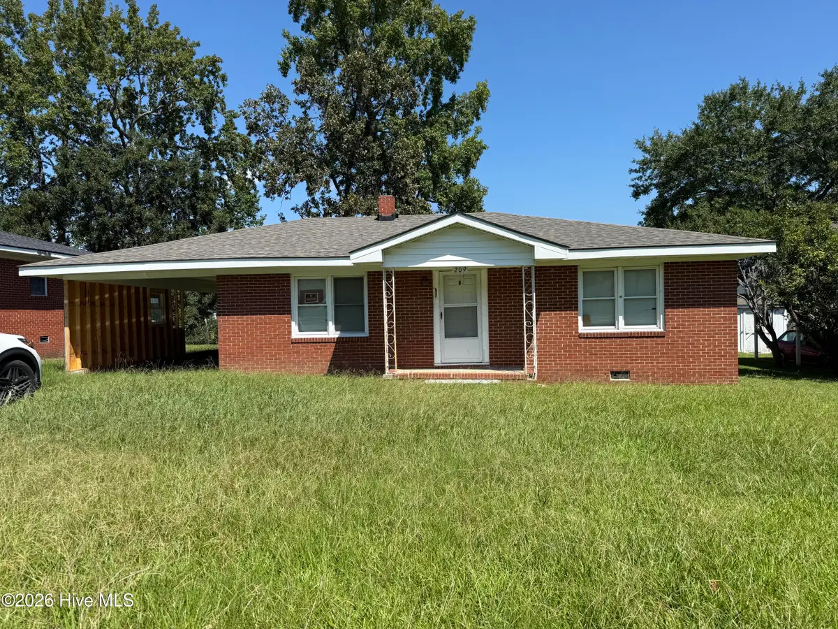 209 Peaks Street, Williamston, NC 27892 - #1