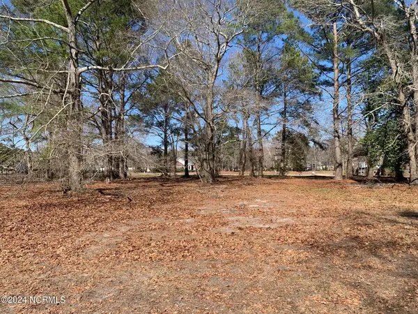 130 October Glory Drive, Wallace, NC 28466