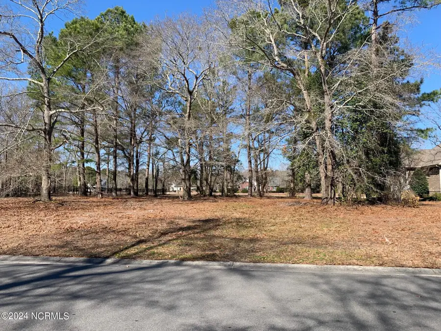 130 October Glory Drive, Wallace, NC 28466 - #2