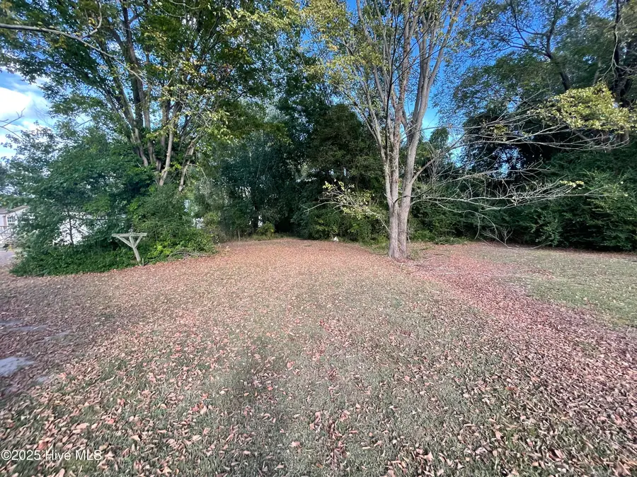416 Catherine Street, Hertford, NC 27944 - #3