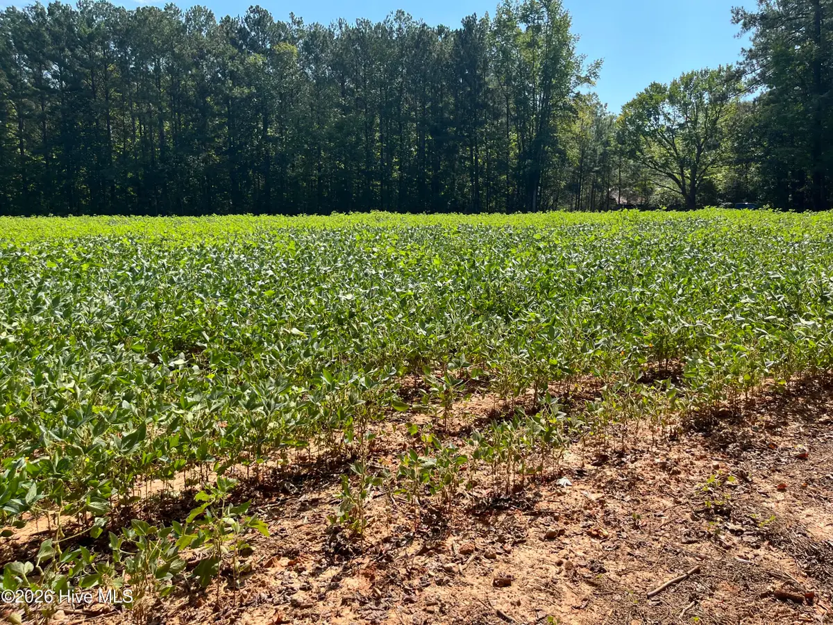 9011 Pleasant Grove Church Road, Spring Hope, NC 27882 - #1