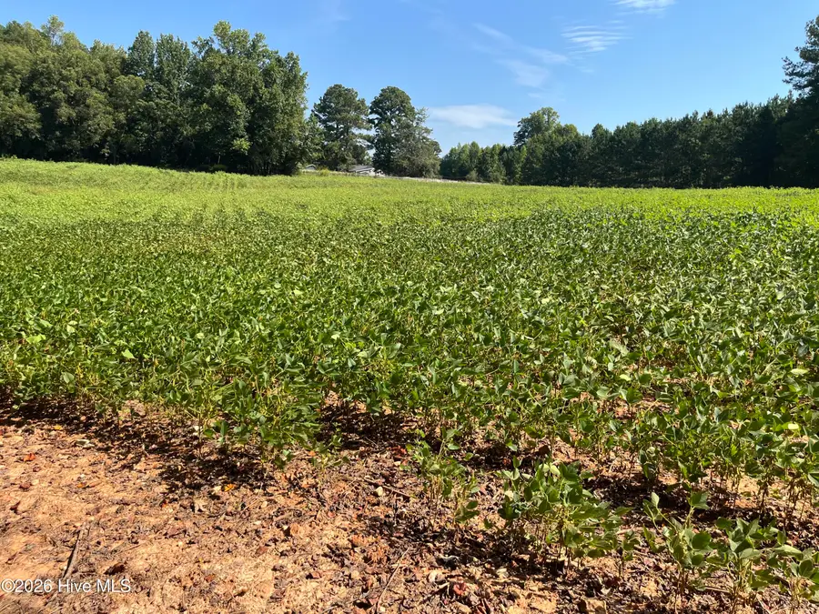 9011 Pleasant Grove Church Road, Spring Hope, NC 27882 - #2