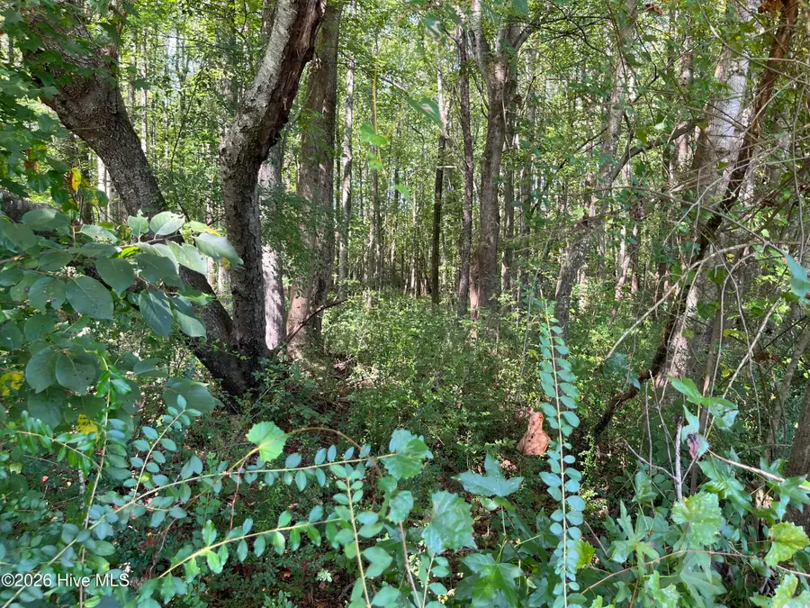 9011 Pleasant Grove Church Road, Spring Hope, NC 27882 - #3