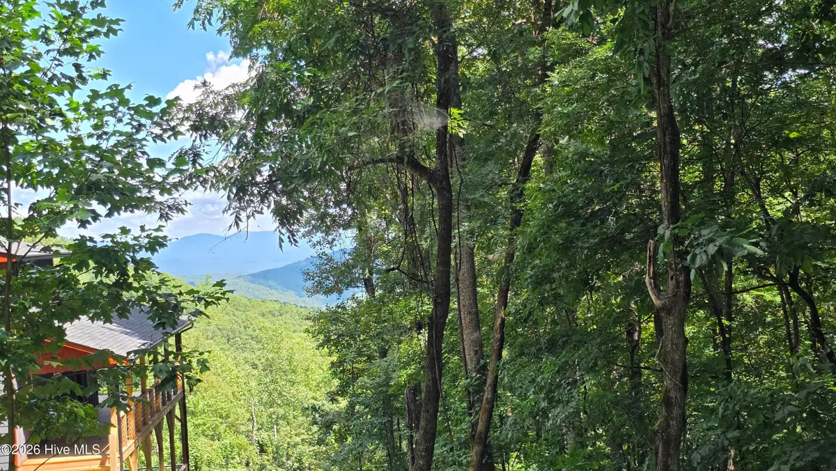 Lot 1-2 Scenic Vista Drive, Murphy, NC 28906 - #1