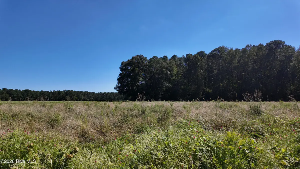 2 Rivenbark Road, Wallace, NC 28466 - #1