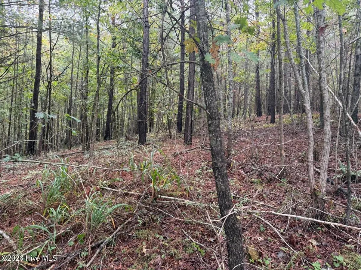 1440 Upper Bear Paw Road, Murphy, NC 28906 - #1