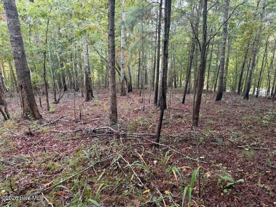 1440 Upper Bear Paw Road, Murphy, NC 28906 - #2