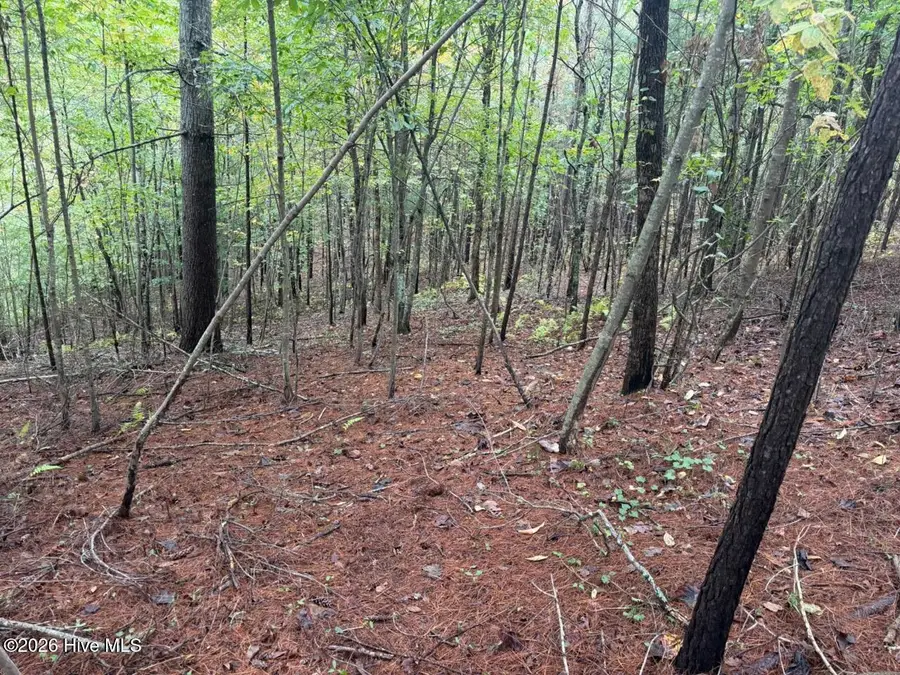 1440 Upper Bear Paw Road, Murphy, NC 28906 - #3