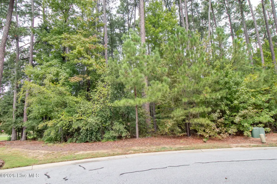 3255 Fords Colony Drive, Rocky Mount, NC 27804 - #2