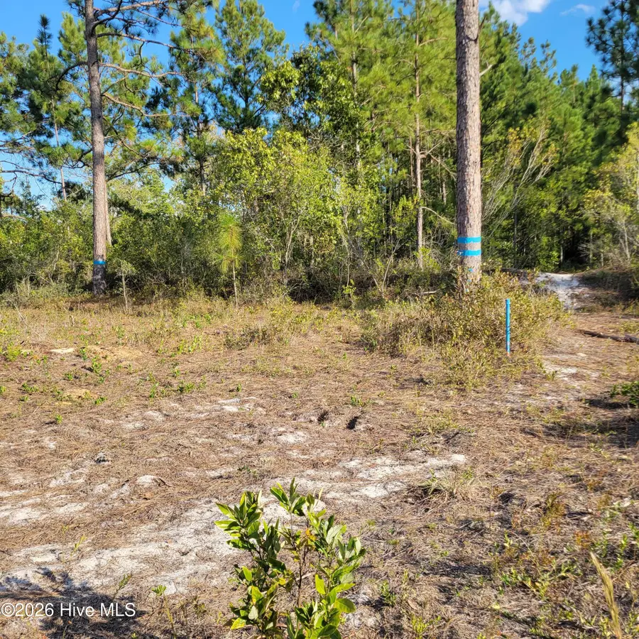 Lot 0 Moores Swamp Road, Ivanhoe, NC 28447 - #3