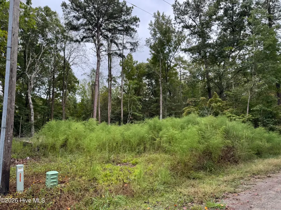 124 Maple Lane, Blounts Creek, NC 27814 - #2