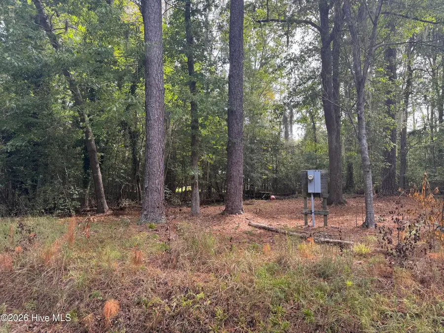 124 Maple Lane, Blounts Creek, NC 27814 - #3