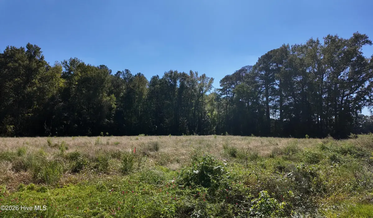 1 Rivenbark Road, Wallace, NC 28466 - #1