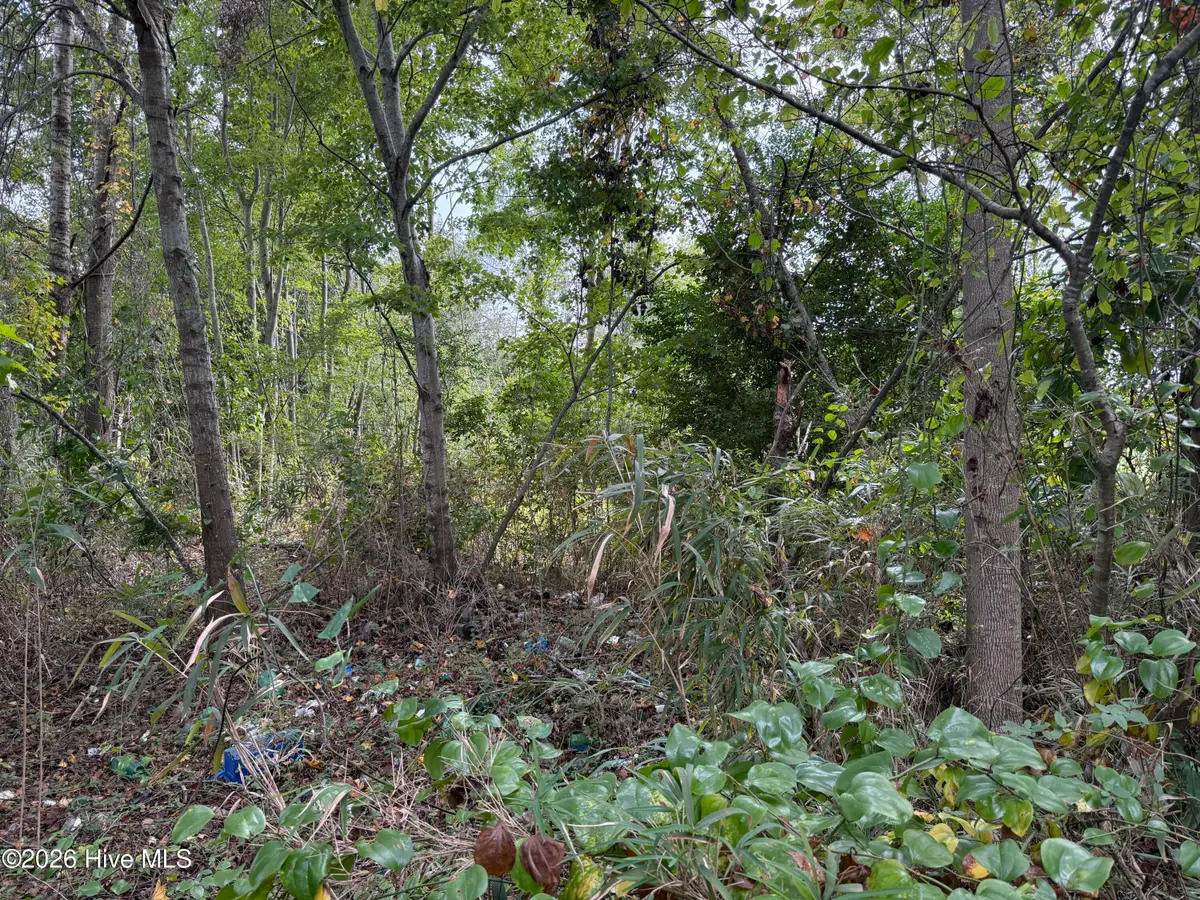 Parcel A Haywood Smith Road, Hertford, NC 27944 - #1