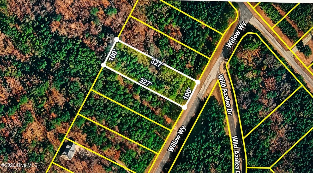 50 Willow Way, Lincolnton, GA 30817 - #1