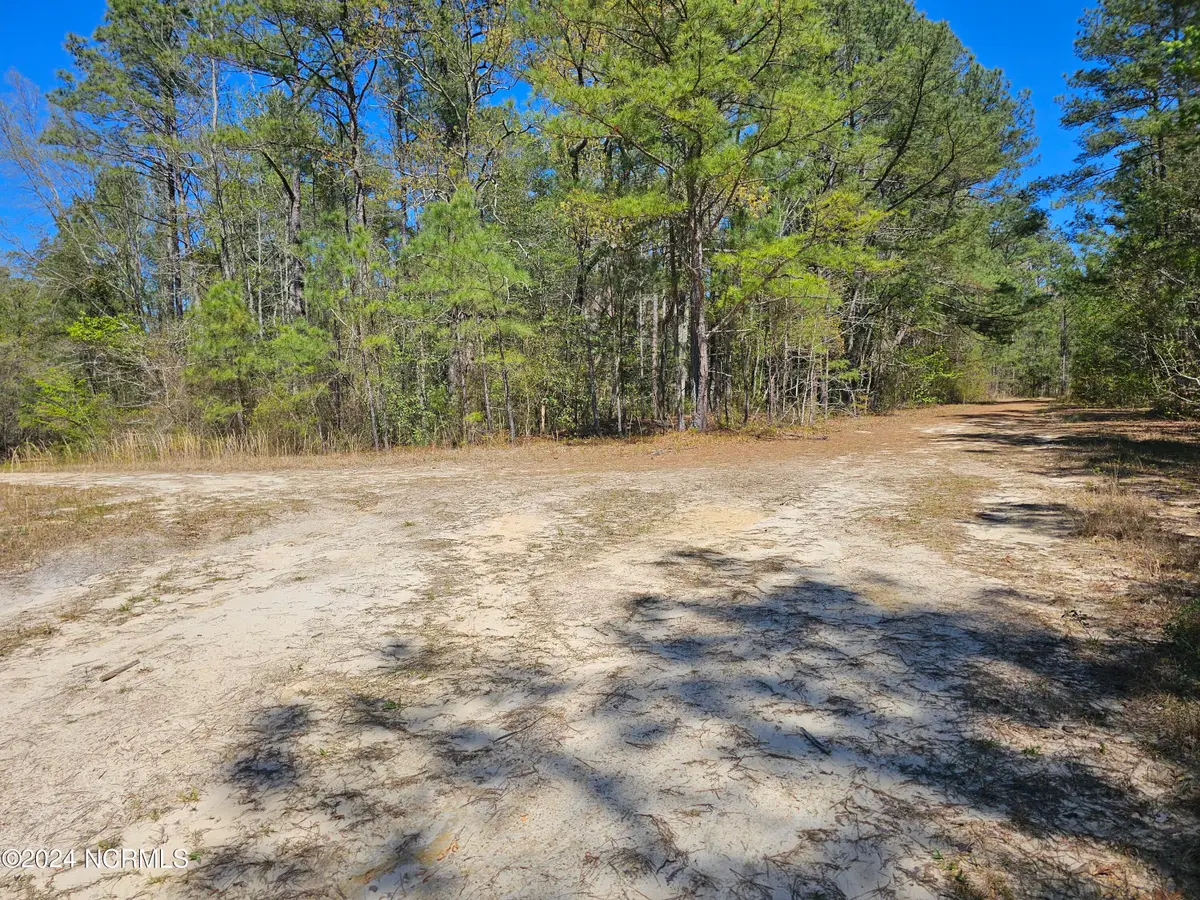 353 Indian Pipe Lane, Vass, NC 28394 - #1