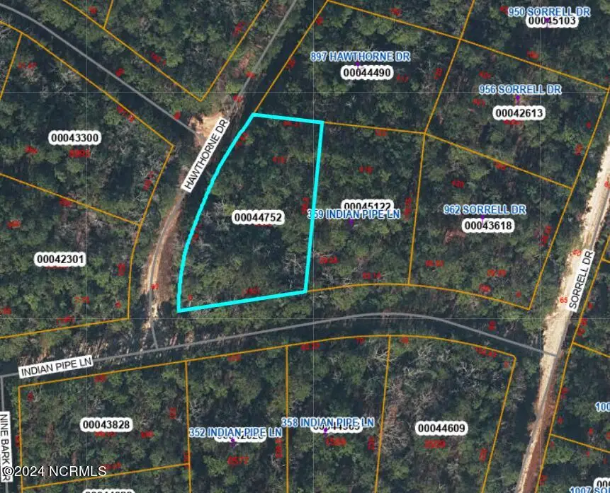 353 Indian Pipe Lane, Vass, NC 28394 - #2