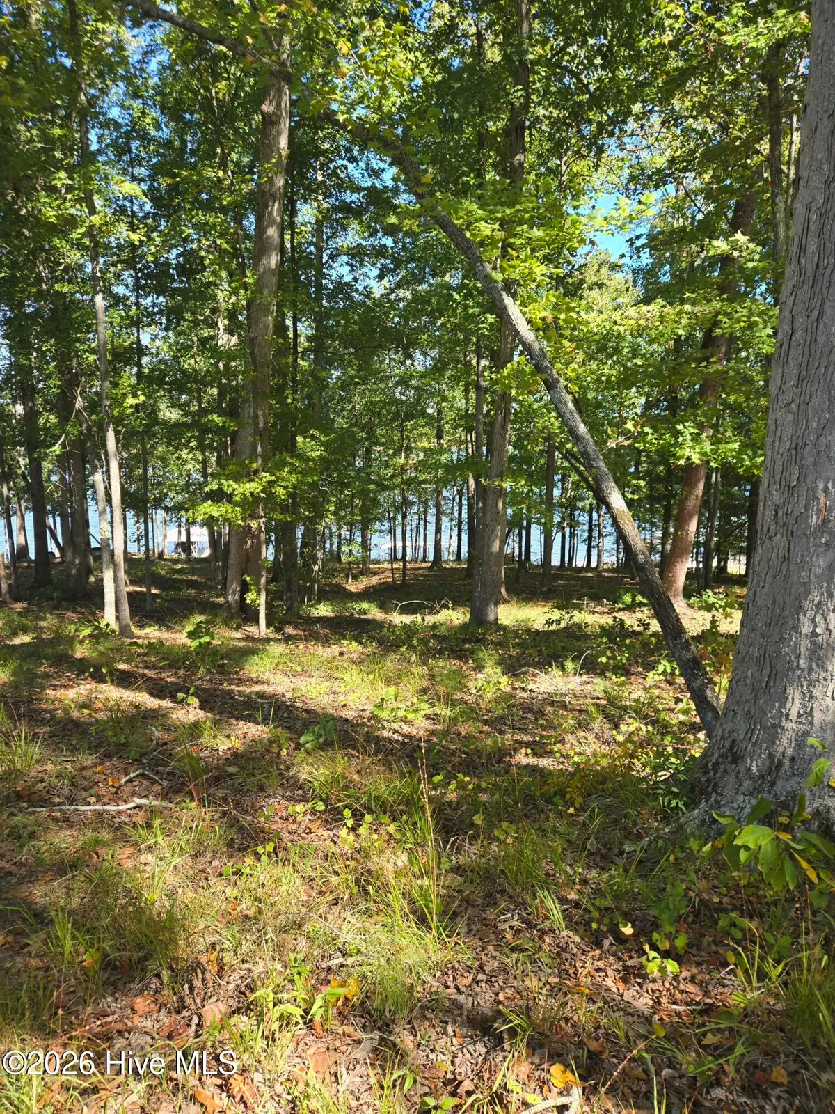 0 Nautical Point, Lincolnton, GA 30817 - #1