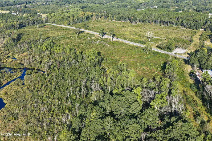 234 Gin Mill Road, Hamlet, NC 28345 - #3