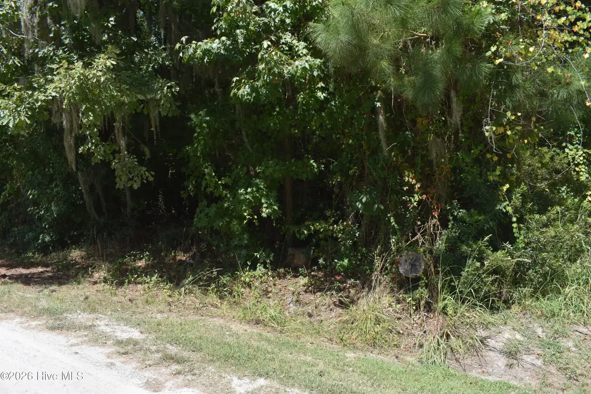 Lot 21 Cypress Drive, Blounts Creek, NC 27814 - #1