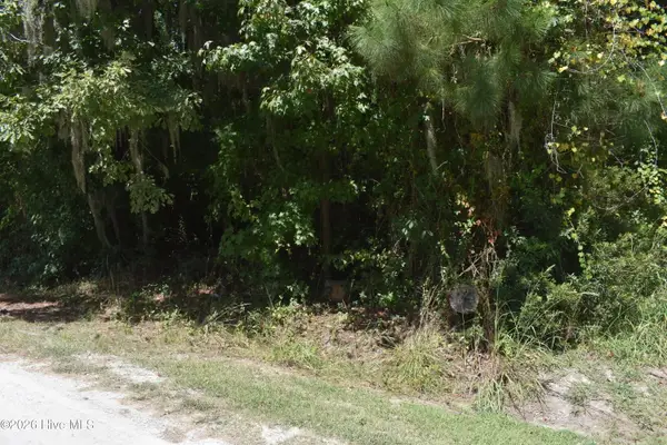 Lot 21 Cypress Drive, Blounts Creek, NC 27814