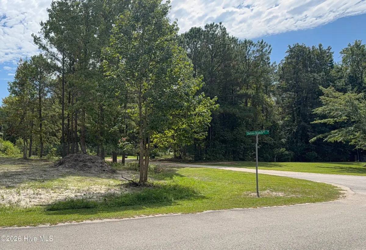 1275 Skipper Run Drive Sw, Supply, NC 28462 - #1