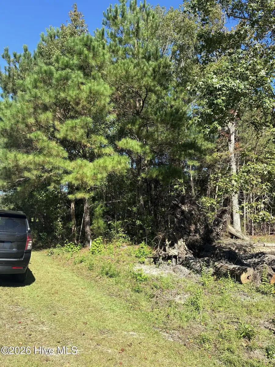 1275 Skipper Run Drive Sw, Supply, NC 28462 - #2