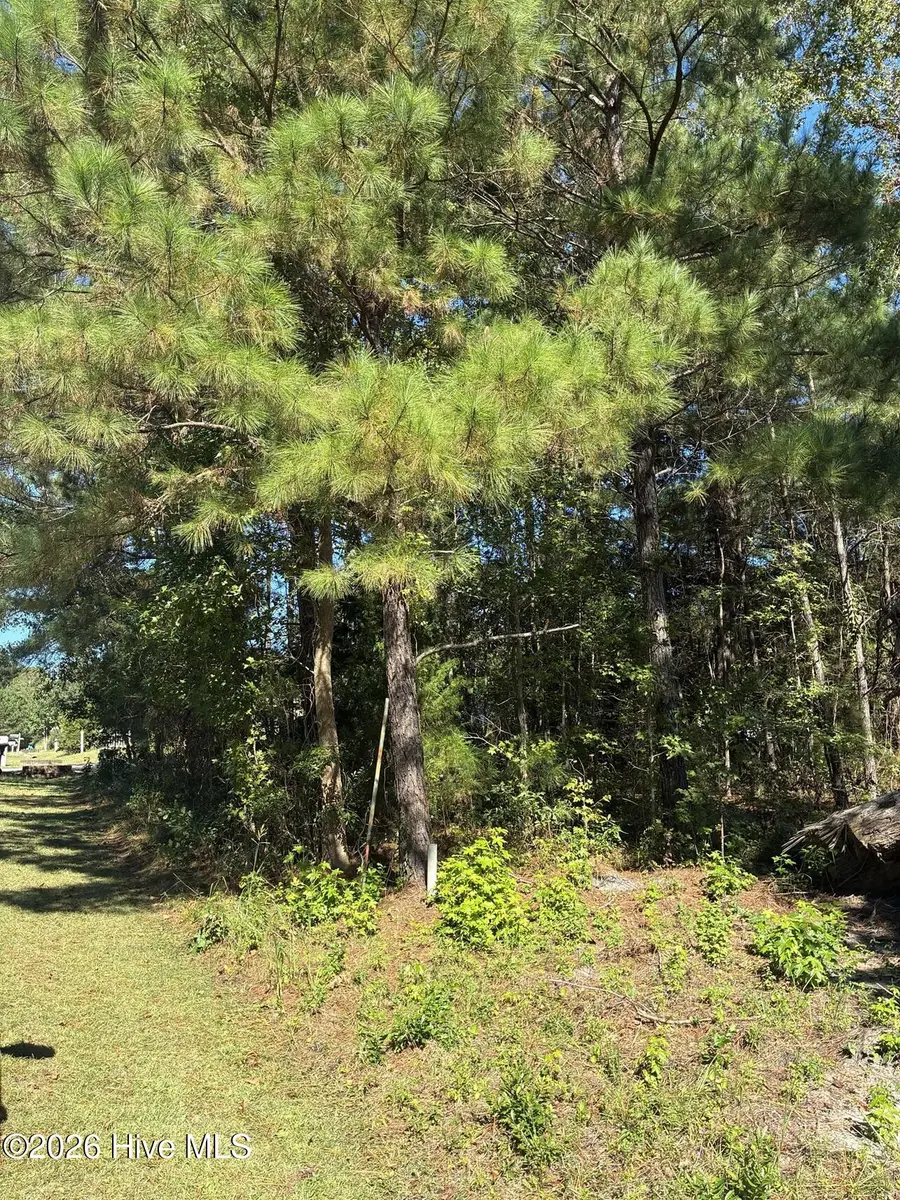1275 Skipper Run Drive Sw, Supply, NC 28462 - #3