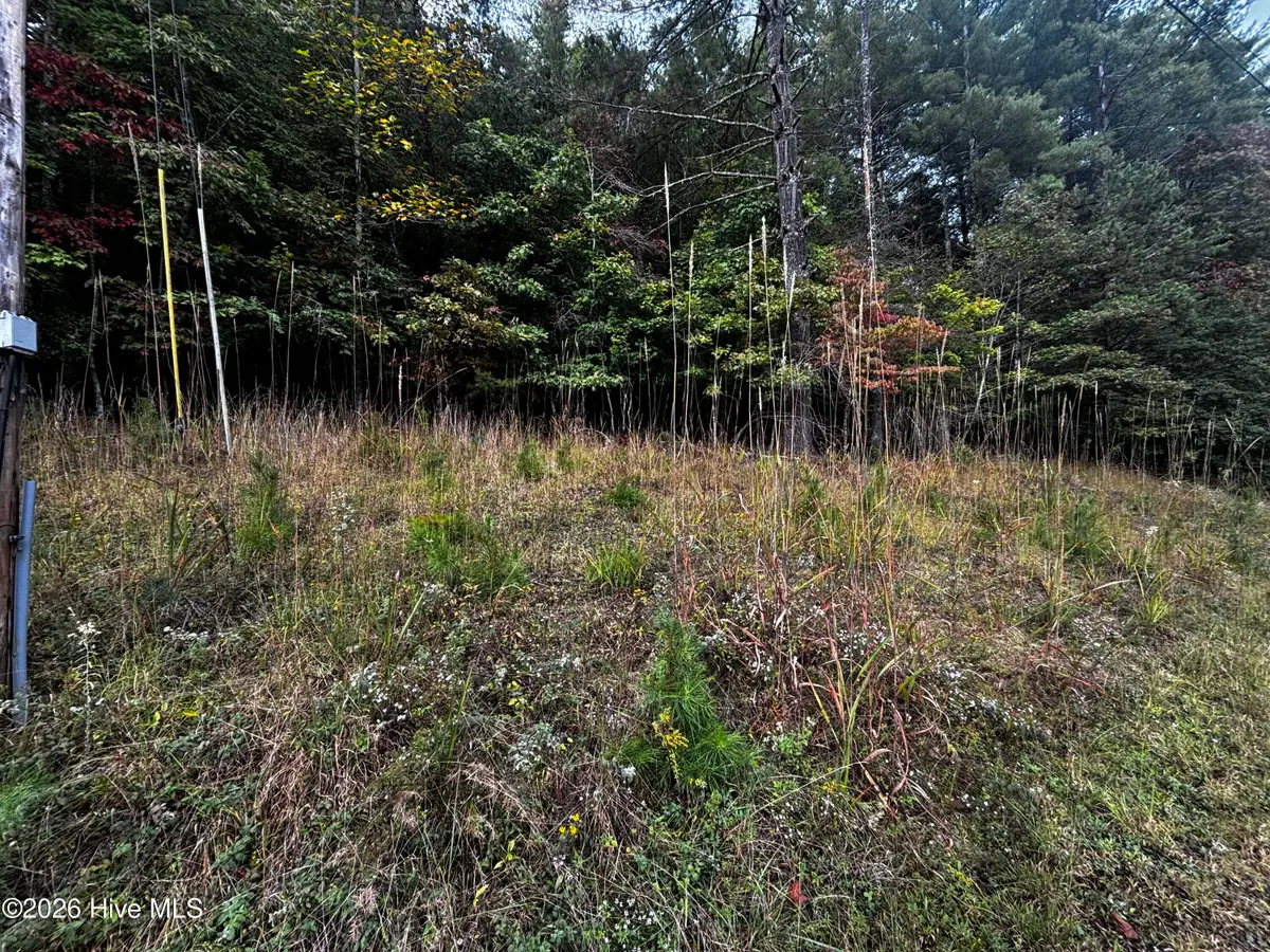 Lot 6 Joyce Road, Murphy, NC 28906 - #1